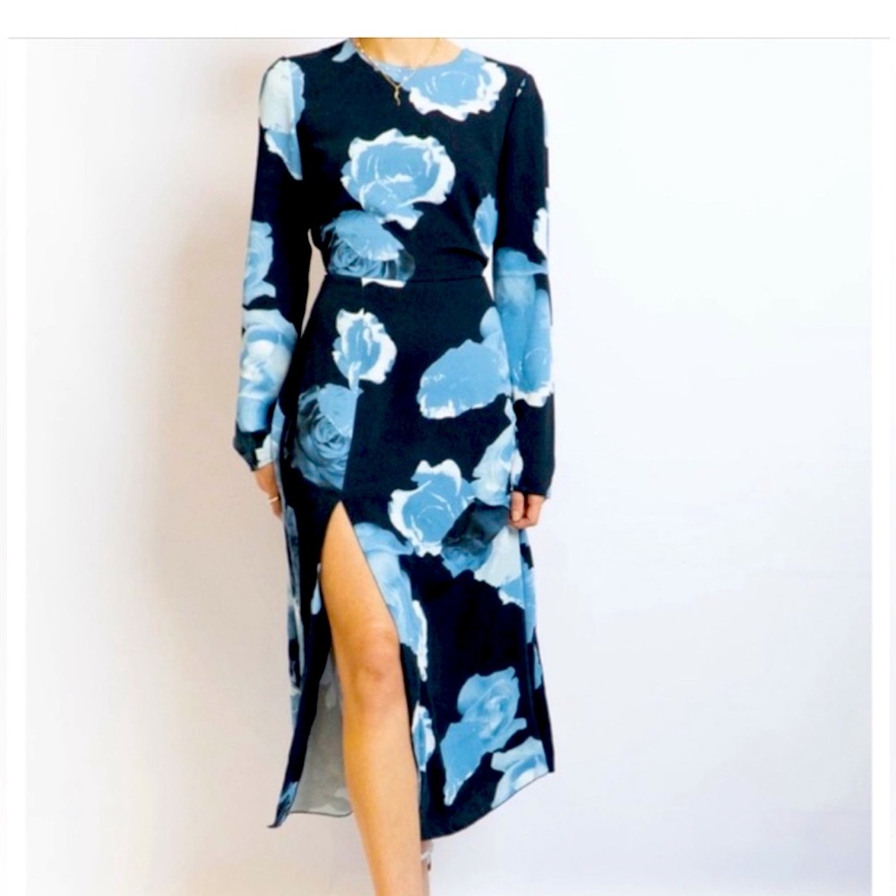 Babaton Floral Long Sleeve Dress in Blue and Black Sz 8